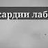 ЗИТУХМАТИ НОМАРДОН