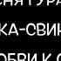 Песня гурана мясника свинореза о его любви к свиньям