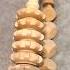 Yoga Wooden Massage Tool S Shortvideo Viral Youtubeshorts Yugalive Massage Satisfying Tools