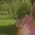 Asհugh Havasi 1895 1978 Khosir Im Sazs Armenian Song