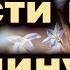 Я хочу исполнить волю Твою минус