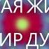 ДРУГАЯ ЖИЗНЬ МИР ДУШ Регрессивный Гипноз