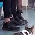 Metroyla Eve Dönen Sevimli Kedi Cats Cat Kedi Kediler