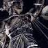 Metallica And Justice For All Full Album Flac