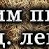 Сельскохозяйственное чудо комбайн НИВА СК5 молотит 50 центнеров пшеницы за один проход