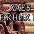 Рэй Брэдбери Хлеб из прежних времен Мелодрама 1951 год