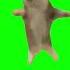 оуу ееее Funny Mem мем Cat