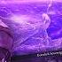 Beating New ENHANCED Gaping Jaw SOLO Elden Ring Nightreign