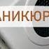 ВСЕ МОИ ТОВАРЫ ДЛЯ МАНИКЮРА организация стоимость