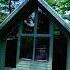 Nobody Said It Would Be Easy Offgrid Cabin Build