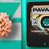 PAVANE SEE ME LETTING GO ELEKTROSHOK RECORDS