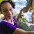 Learn More Dinosaur Facts Blippi Meekah Shorts Dinosaur Learning Play