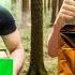SURVIVAL IN THE FOREST With IRP From AUCHAN GOLDEN BIRD VS MY PRICE