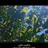Fairouz Nature فيروز اكسبلور Explore