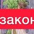Чем закончится ситуация о которой вы переживаете Расклад на картах таро