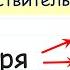 Определи род существительного Род имен существительных