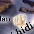 Pul Hidi