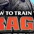 How To Train Your Dragon 3 The Hidden World Full Movie 2019 Jay Baruchel Review Facts