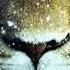 Carrie Underwood There S A Place For Us