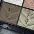 New YSL 830 Unexplored Garden Palette Review Swatches Comparisons