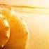 Kygo Style HAEVN Bright Lights Sam Feldt Remix
