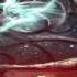 Gravitational Distortion The Void Between Worlds 2015 Full Album
