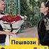 Исфара 2025 Фарангиси Дунё дар Исфара Isfara исфара ворух Music Travel Food