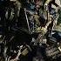 Optimus Prime Is Resurrected Transformers Bumblebee