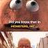 Did You Know That In MONSTERS INC