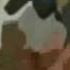 Guild Movie 3 Animal I Have Become