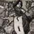 Go Ask Alice White Rabbit Jefferson Airplane