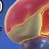70세 이후의 자위 너무 늦기 전에 의사들이 알았으면 하는 8가지 건강 숙달