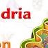 Mitochondria Structure And Function Cell Physiology Medical Animation