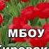Тюльпаны улыбка весны