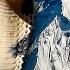 10 Deadly Snakes Spotted Near Mount Everest Here S Why Experts Are Worried GRAVITAS