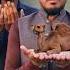 Qurbani Ky Oont Ky Sath Kya Hwa Must Watch Islamic Youtubeshort Qurbani Viralvideo