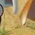 A Whole New World Feat Belka Strelka