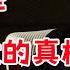 什么才是人性最大的真相 一口气看完 人民的名义 全集