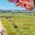 The Toughest Race Of My Life Unbound 200