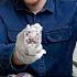 10 5 Million World S Most Complicated Watches JacobCoofficial Geneva Visit