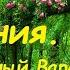 Райские видения Кто туда попадет Преподобный Варсонофий Оптинский