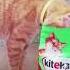 Кот из Tik Tok Лучшая пародия AУФ Дай KiteKat Смешные песни из Tik Tok Тренды Tik Tok