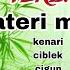 MATERI KEKINIAN 2025 MASTERAN SOGON ISIAN SUPER MEWAH