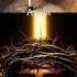 Jesus Love You Jesuschrist Hallelujah Lovejesus Shortvideo Viralvideo
