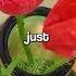 When Did You Realize Something Was A Blessing In Disguise