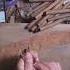 Live Cigar Rolling
