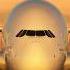 Global Airlines AirbusA380 Aviation Airplane Flight Airbusa380