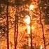 Wildfires Cause State Of Emergency In The Carolinas