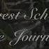 The Forest Schools Journey