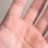 Abduction Vs Adduction Flexion Vs Extension And Opposition Of The Thumb